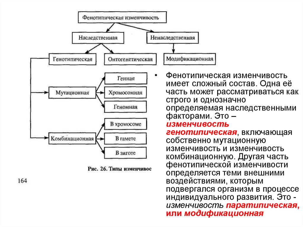 Изменчивость схема биология