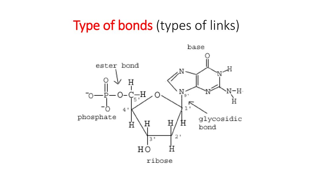 Type of bonds (types of links)