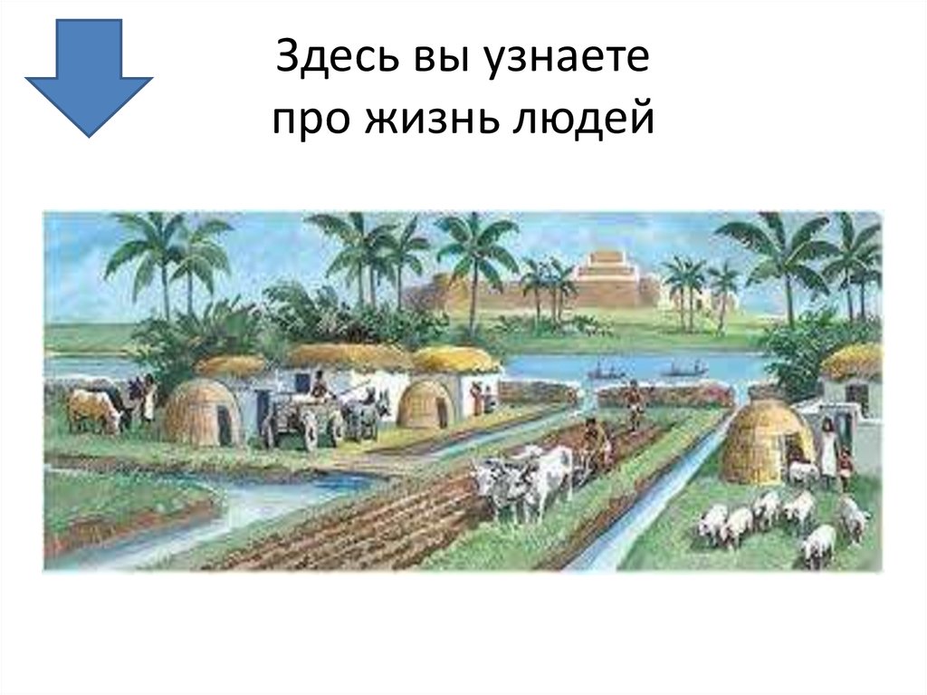 Здесь вы узнаете про жизнь людей