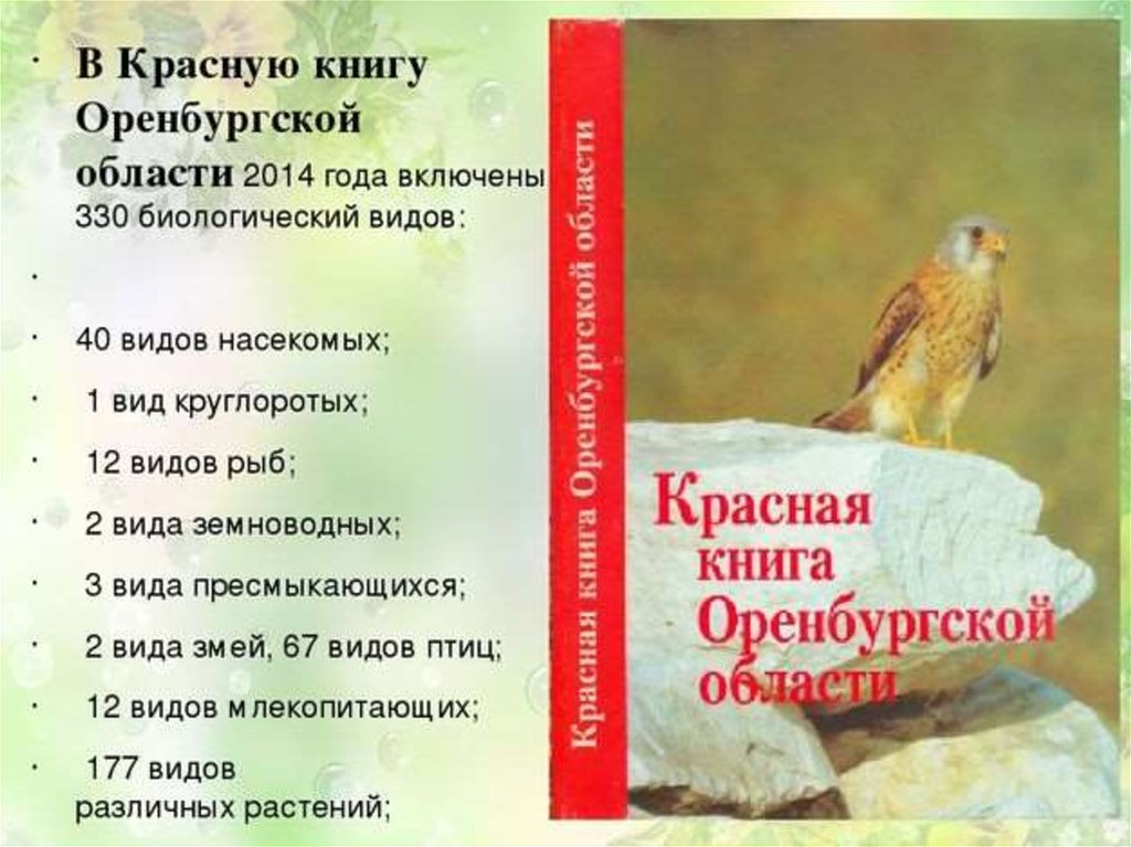 Презентация красная книга оренбургской области растения и животные фото и описание