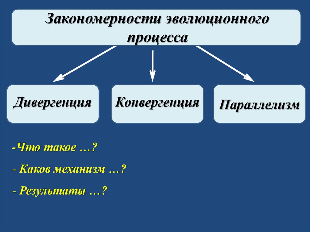 Типы эволюционных изменений презентация