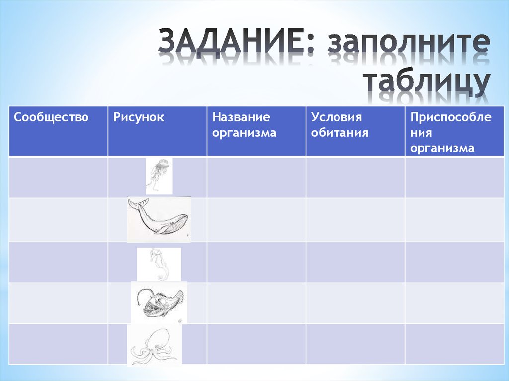 ЗАДАНИЕ: заполните таблицу