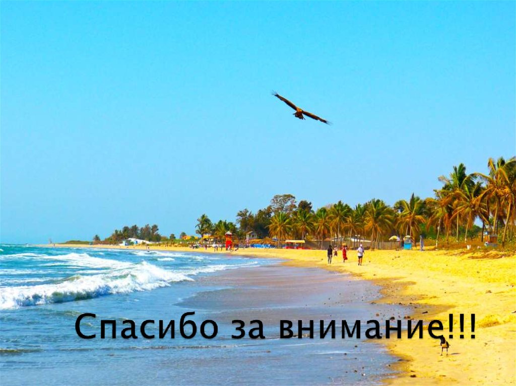 Спасибо за внимание!!!