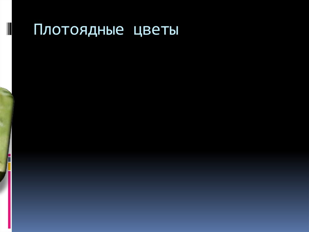 Плотоядные цветы