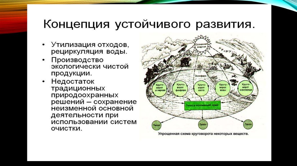 Концепция устойчивого развития. Этапы устойчивого развития история. Концепция развития как составить. Этапы появления концепции устойчивого развития. Концепция развития холдинга.