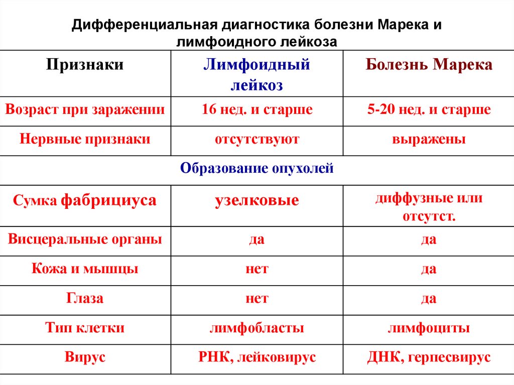 Дифференциальная диагностика болезни. Дифференциальная диагностика болезни Марека и лейкоза. Дифференциальная диагностика острых и хронических лейкозов. Дифференциальная диагностика гемобластозов. Дифференциальный диагноз миелолейкоз и лимфолейкоз.