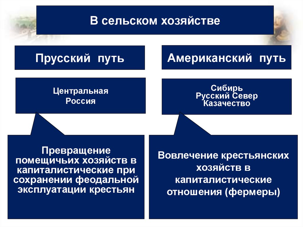 Черты капитализма в сельском хозяйстве