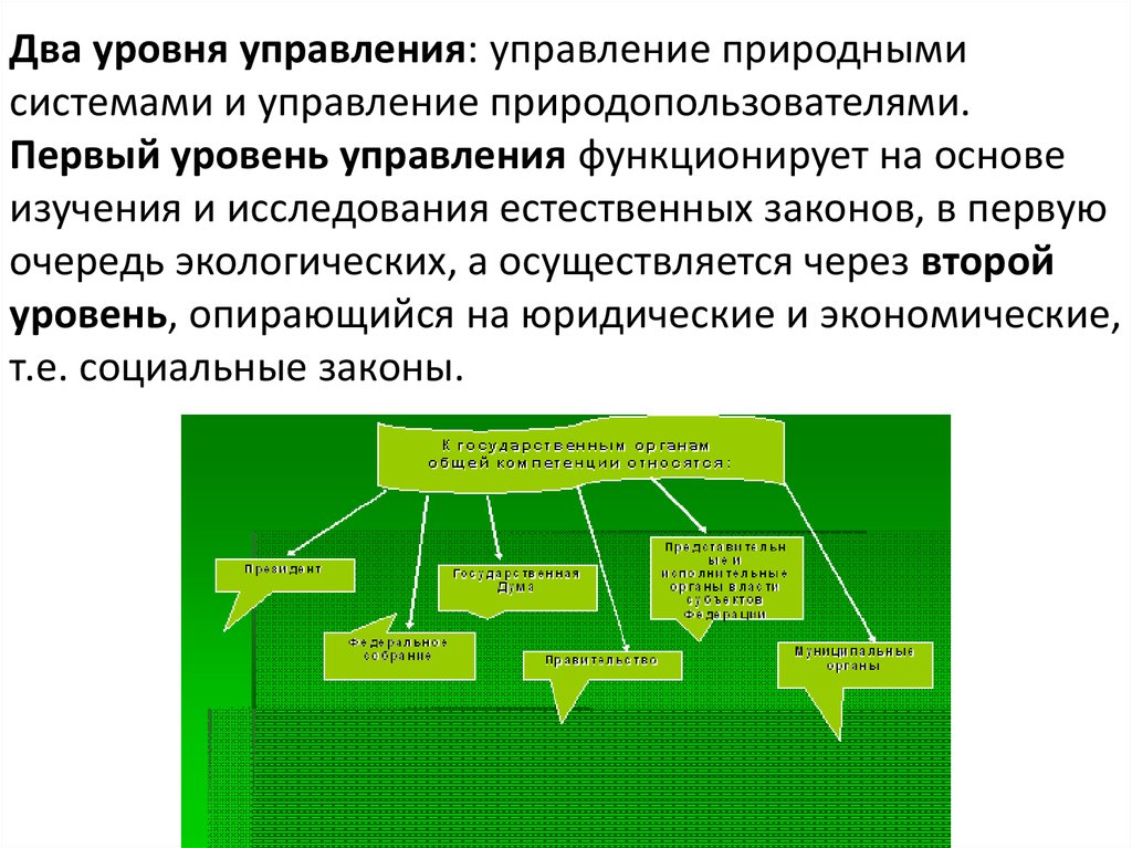 Натуральных систем