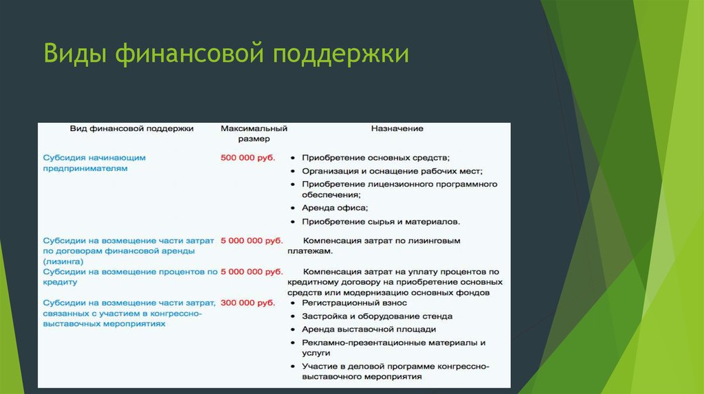 Виды поддержки проекта