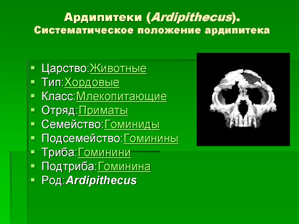 Факторы антропогенеза презентация 11 класс