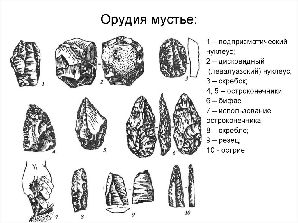 Орудие труда обработанное методом унифас. Нуклеус палеолит. Эпоха Мустье - дисковидный нуклеус,. Эпоха Мустье орудия труда. Каменные орудия эпохи Мустье.