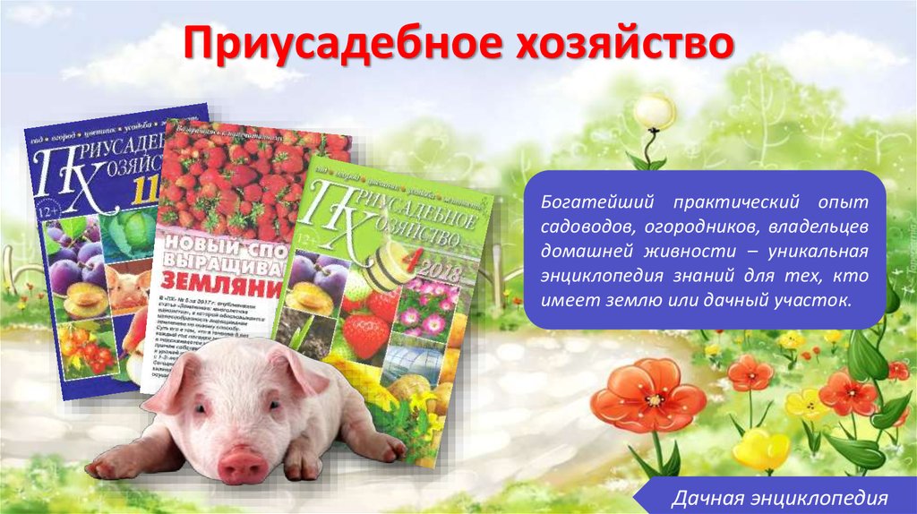 Приусадебное хозяйство