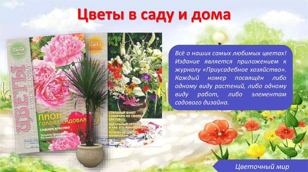 Цветы в саду и дома