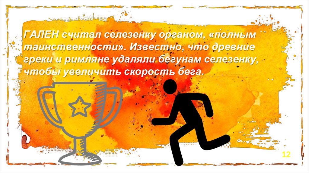 ГАЛЕН считал селезенку органом, «полным таинственности». Известно, что древние греки и римляне удаляли бегунам селезенку, чтобы