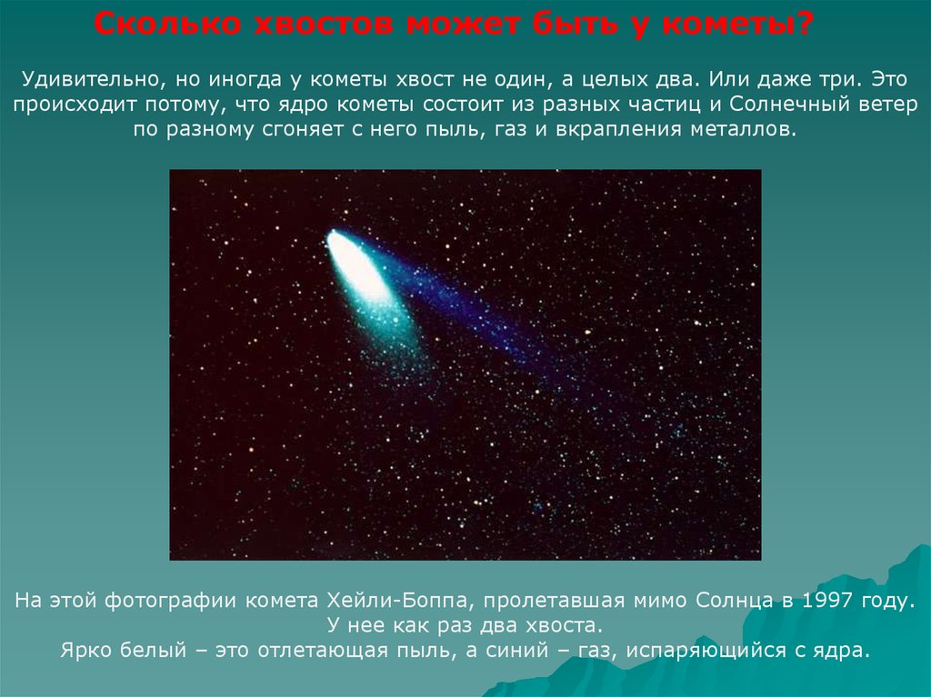 Что в переводе с греческого означает комета. Газовый и пылевой хвост кометы. У кометы есть хвост. Строение хвоста кометы. Кометы презентация.