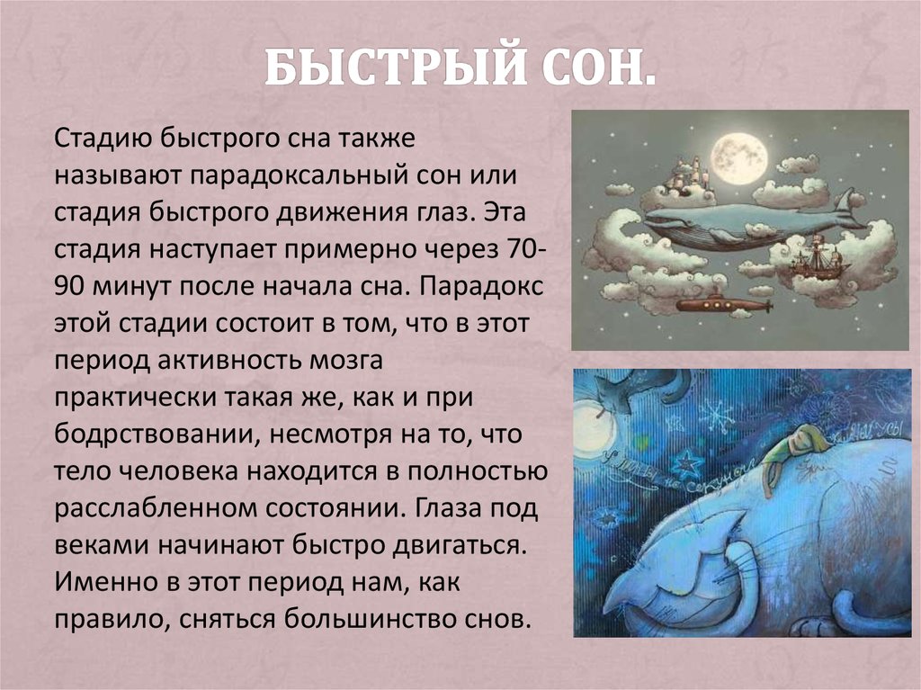 Быстрый сон. Быстрый сон и сновидения. Медленный и парадоксальный сон. Быстрый сон картинки.