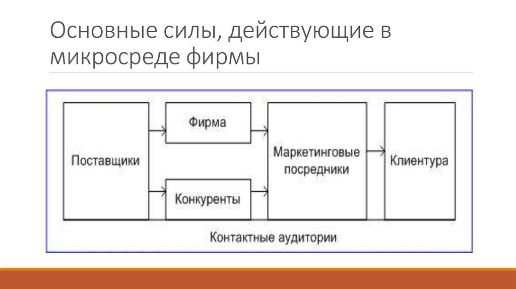 В плане маркетинга описываются