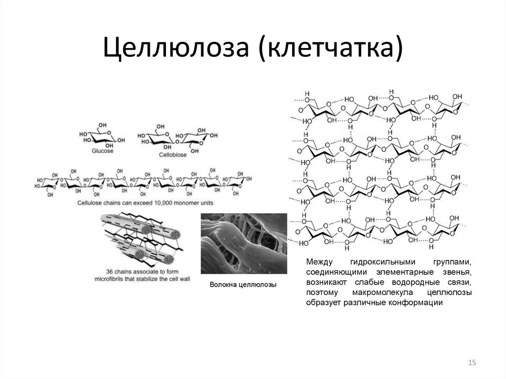 Целлюлоза что это