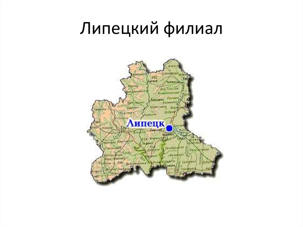 Липецкий филиал