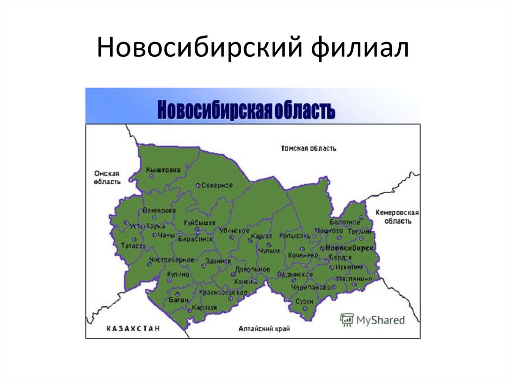 Новосибирский филиал