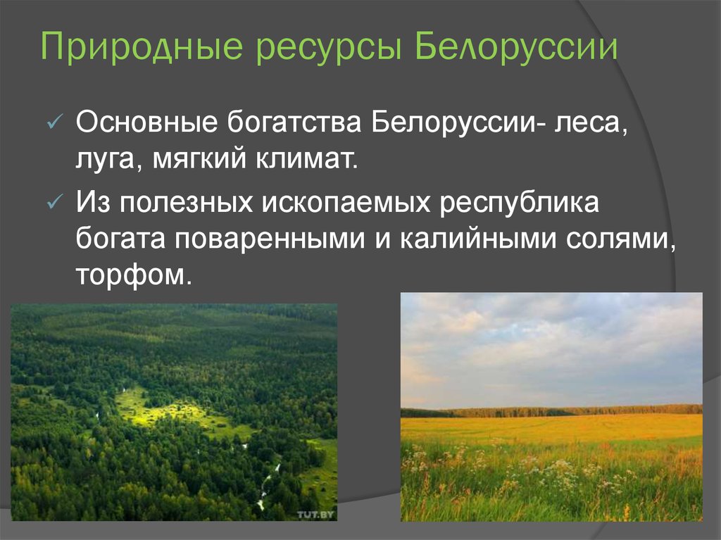 Ресурсы рб. Природные ресурсы Беларуси кратко. Природные богатства Беларуси. Природа Белоруссии презентация. Природные ресурсы Белоруссии кратко.