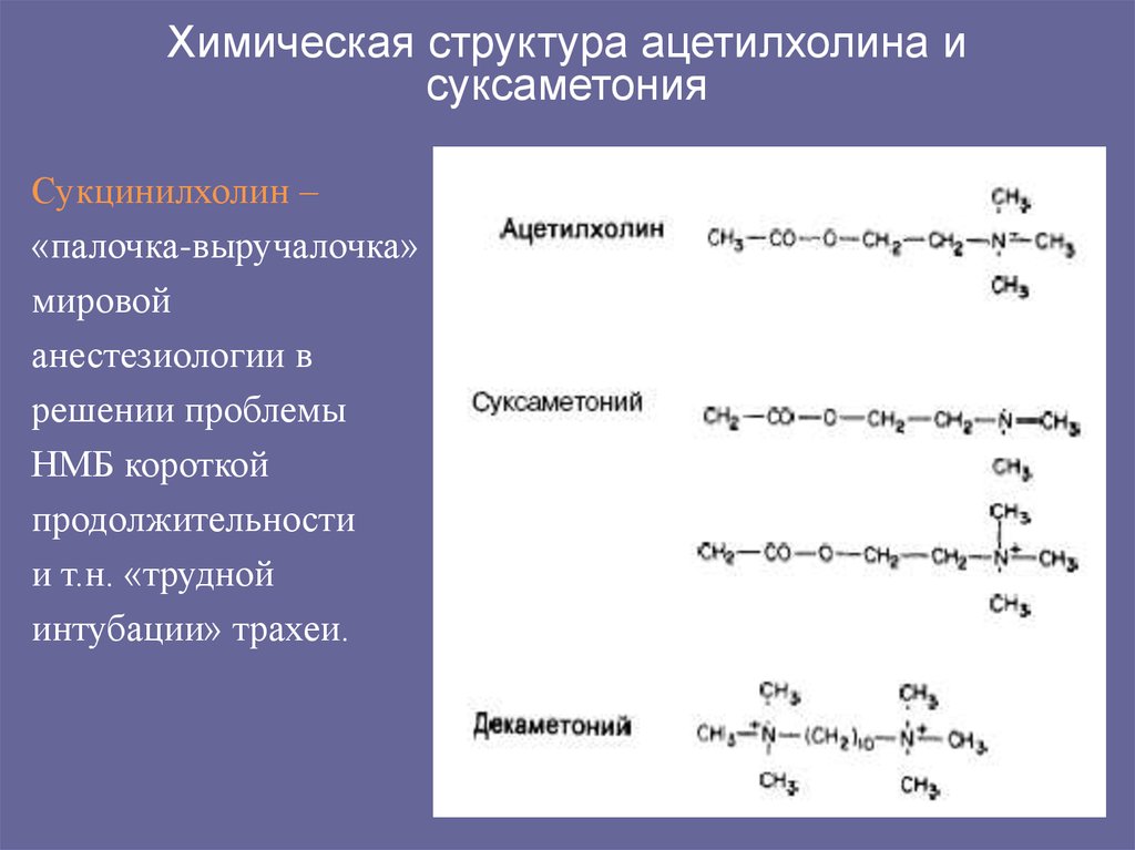 Химическая структура ацетилхолина и суксаметония