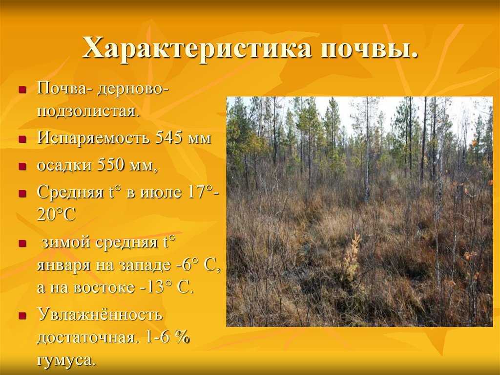 Осадки испаряемость. Дерново-подзолистые природная зона. Дерново-подзолистые почвы характеристика. Подзолистые почвы характеристика. Дерново подзолистые почвы харак.