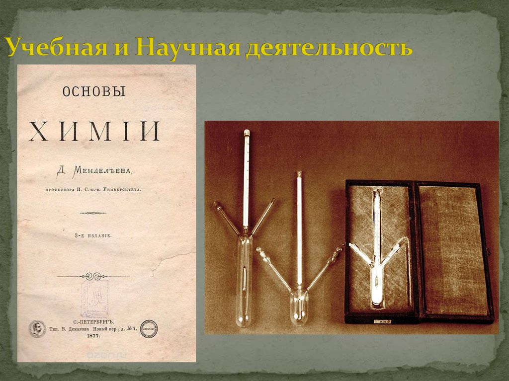 Учебная и Научная деятельность