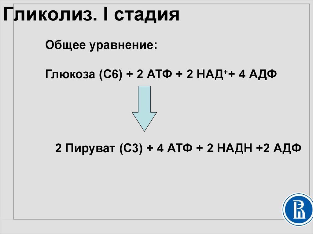 Гликолиз. I стадия