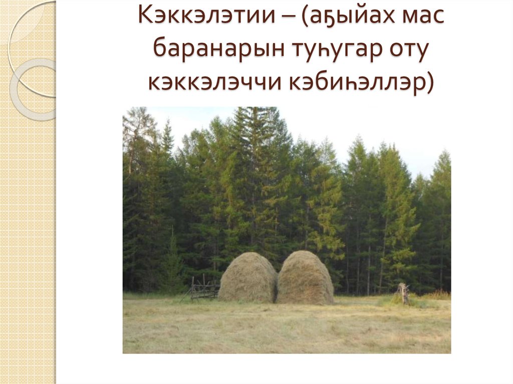 Кэккэлэтии – (аҕыйах мас баранарын туһугар оту кэккэлэччи кэбиһэллэр)