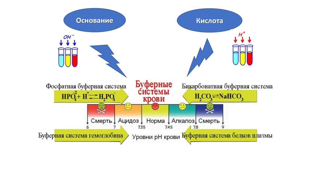 Бикарбонатный буфер схема