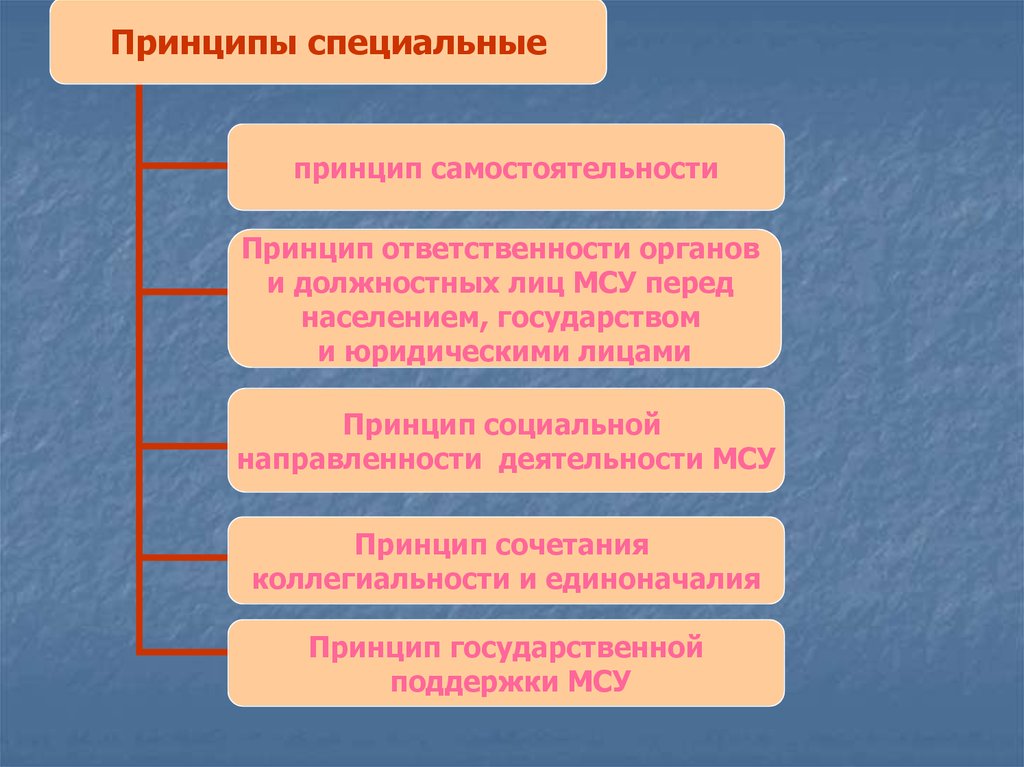 Презентация ответственность органов и должностных лиц местного самоуправления перед населением