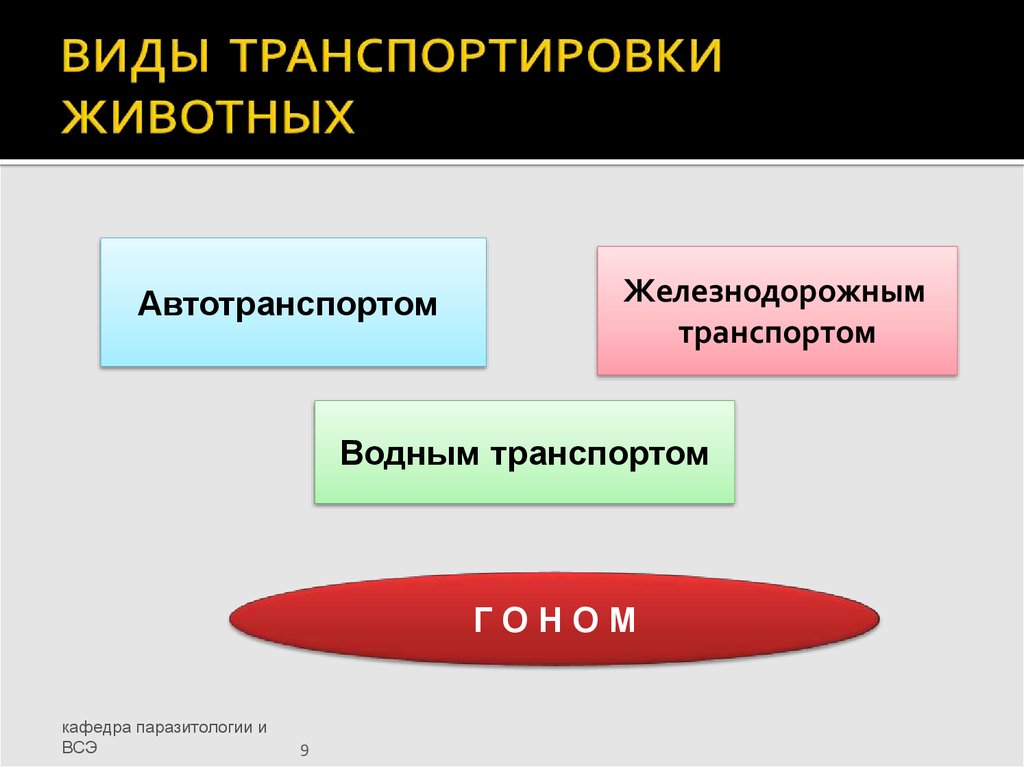 Виды транспортировки