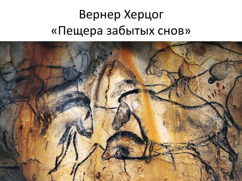 Вернер Херцог «Пещера забытых снов»