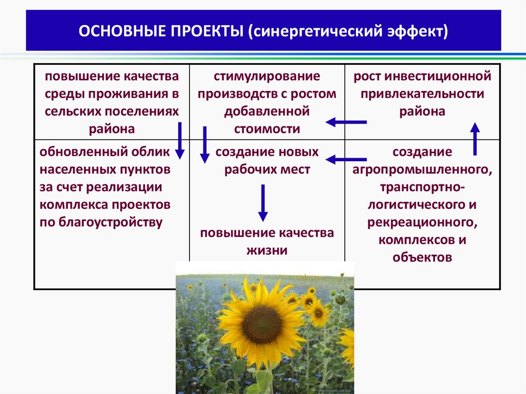 Синергетические проекты это проекты