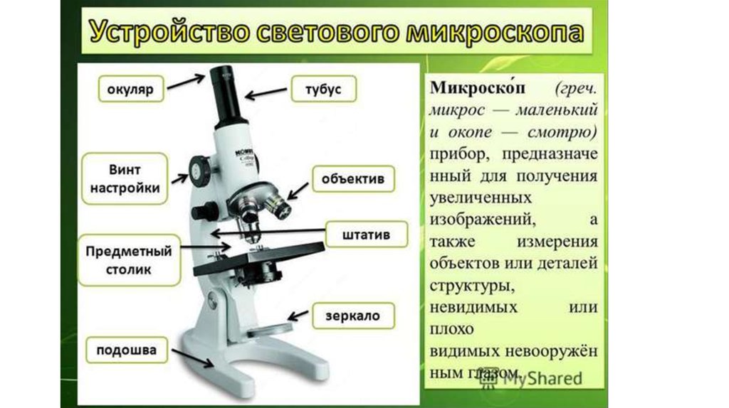 Микроскоп Строение И Описание 5 Класс