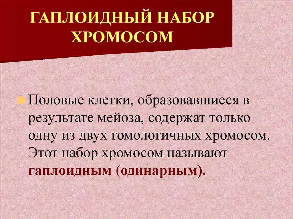 Совокупность всех генов гаплоидного набора хромосом