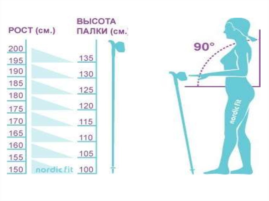 Длина палок. Палки для скандинавской ходьбы Размеры. Ростовка палок для скандинавской ходьбы таблица. Размер палок для скандинавской ходьбы на рост 160. Таблица подбора палок для скандинавской ходьбы.