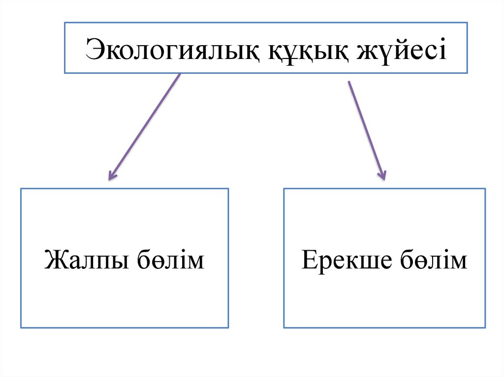 Экологиялық белгілер презентация