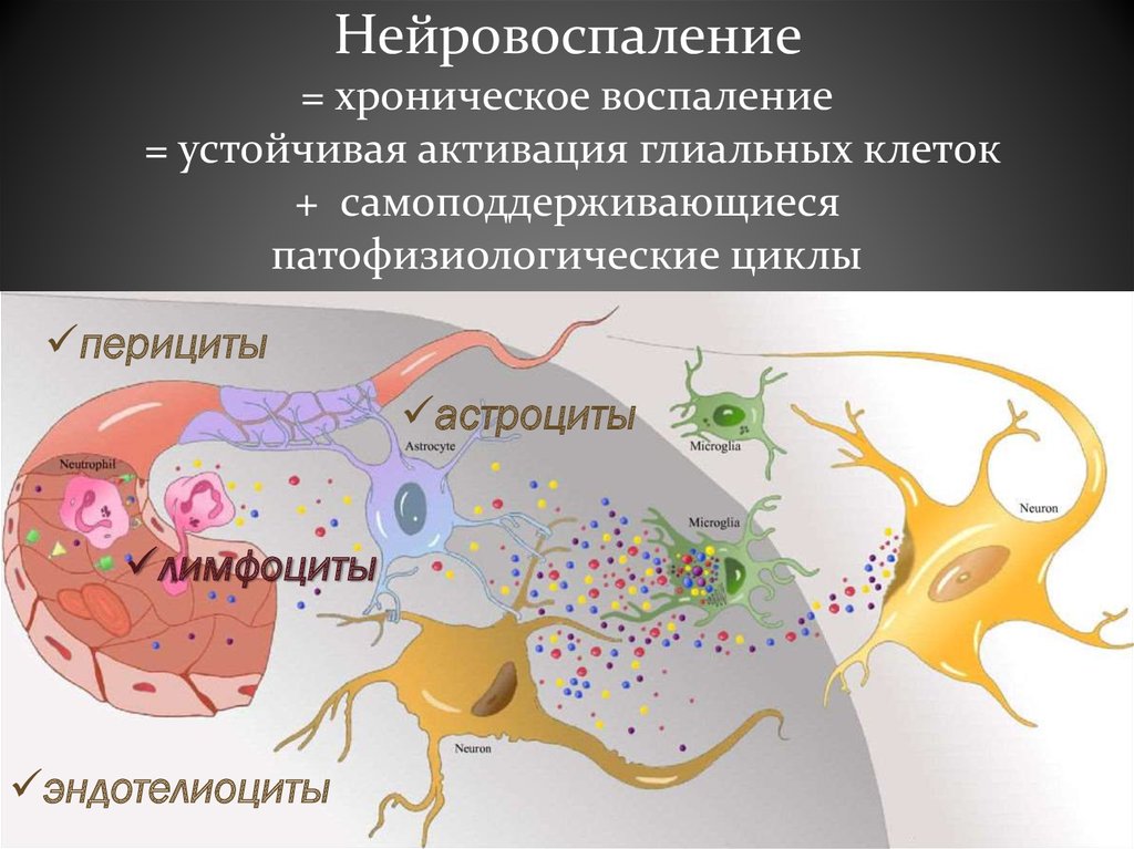 Нейровоспаление