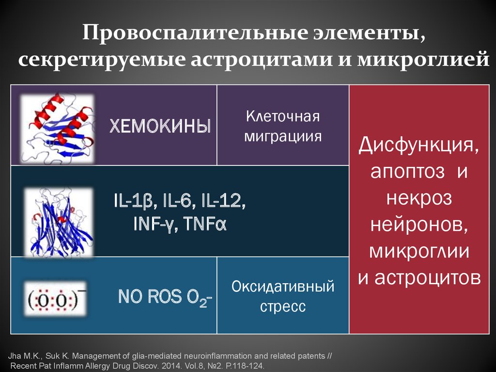 Провоспалительные элементы, секретируемые астроцитами и микроглией