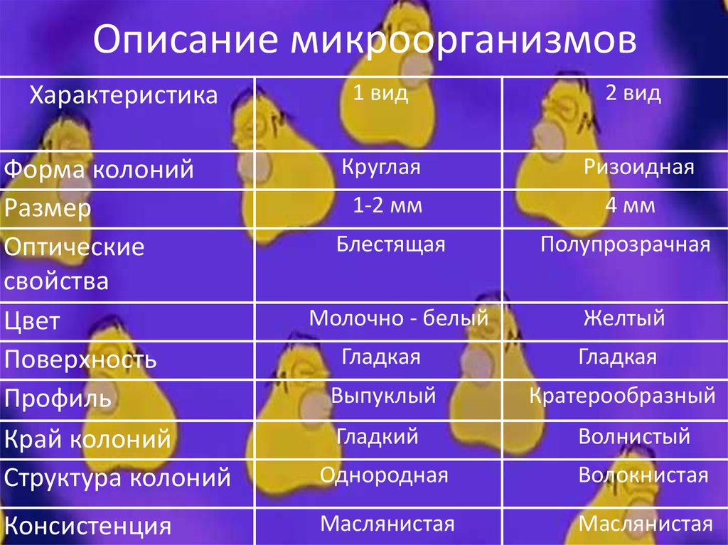 Описание микроорганизмов