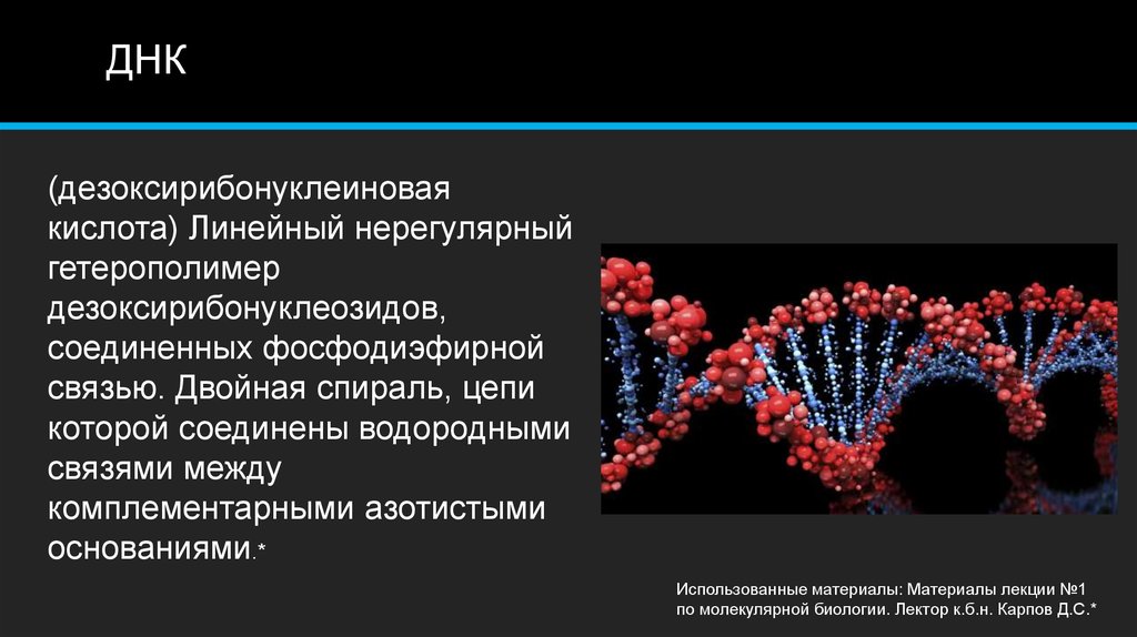 Презентация о днк