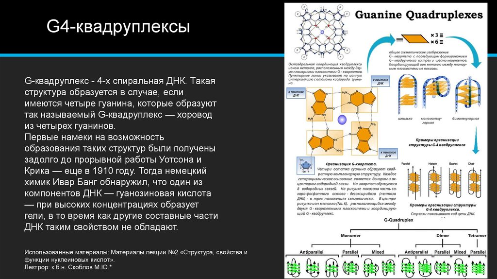 Структура сформировалась раньше остальных. Квадруплекс ДНК. G-Quadruplex. Гуаниновый квадруплекс. Гуаниновые квадруплексы (g-ДНК),.