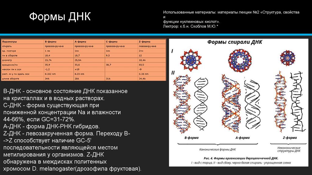 Днк аббревиатура. Формы структуры ДНК. Характеристики β-формы ДНК. B форма ДНК параметры. А форма и б форма ДНК.