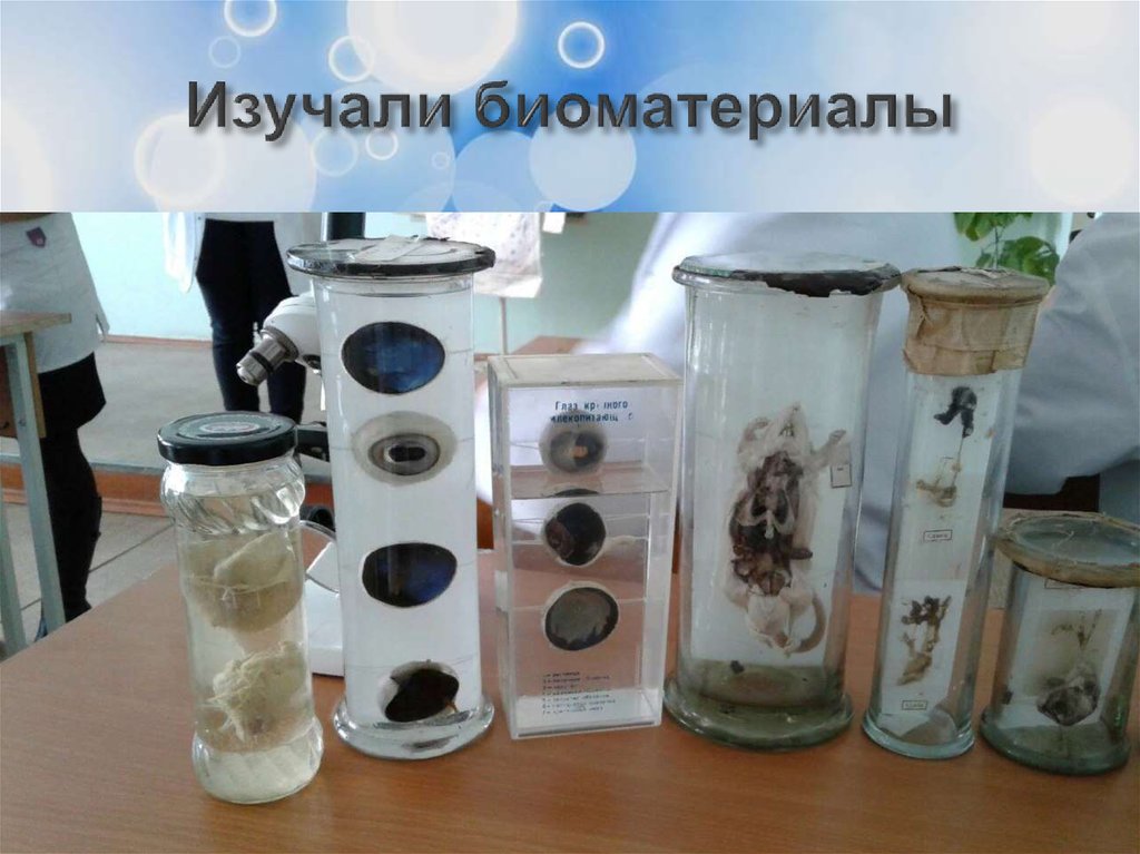 Изучали биоматериалы