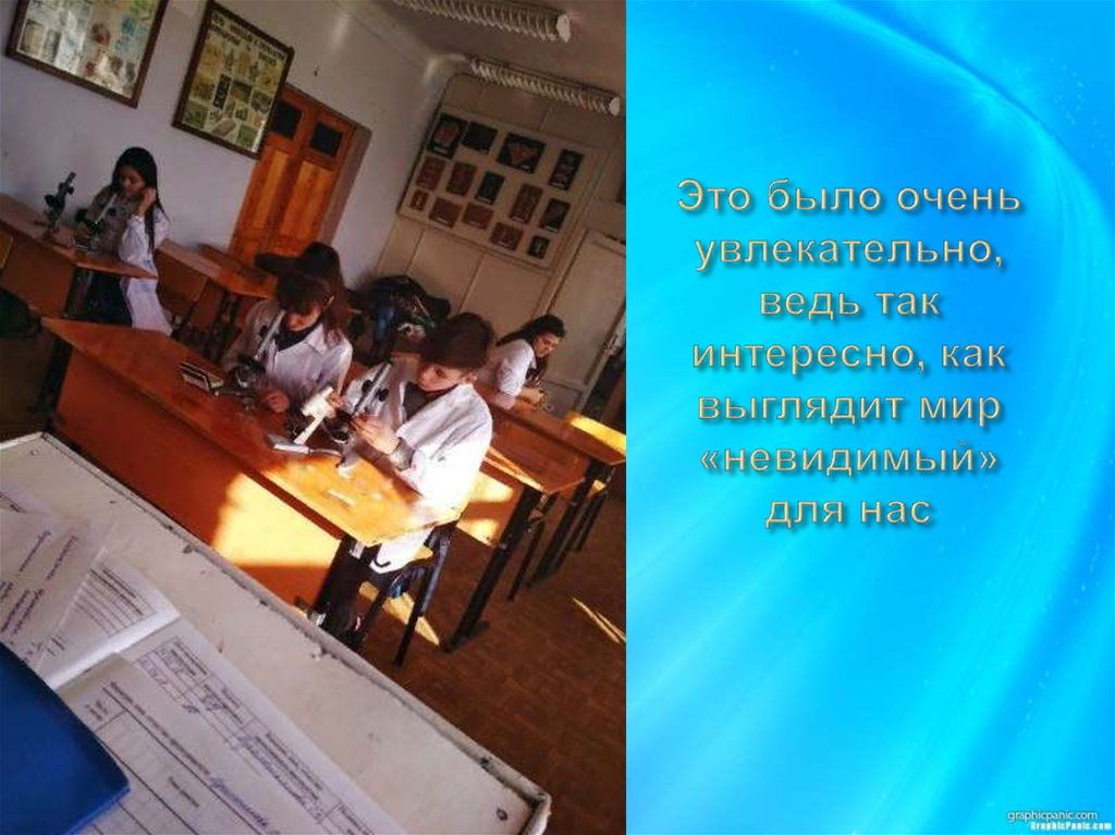 Это было очень увлекательно, ведь так интересно, как выглядит мир «невидимый» для нас