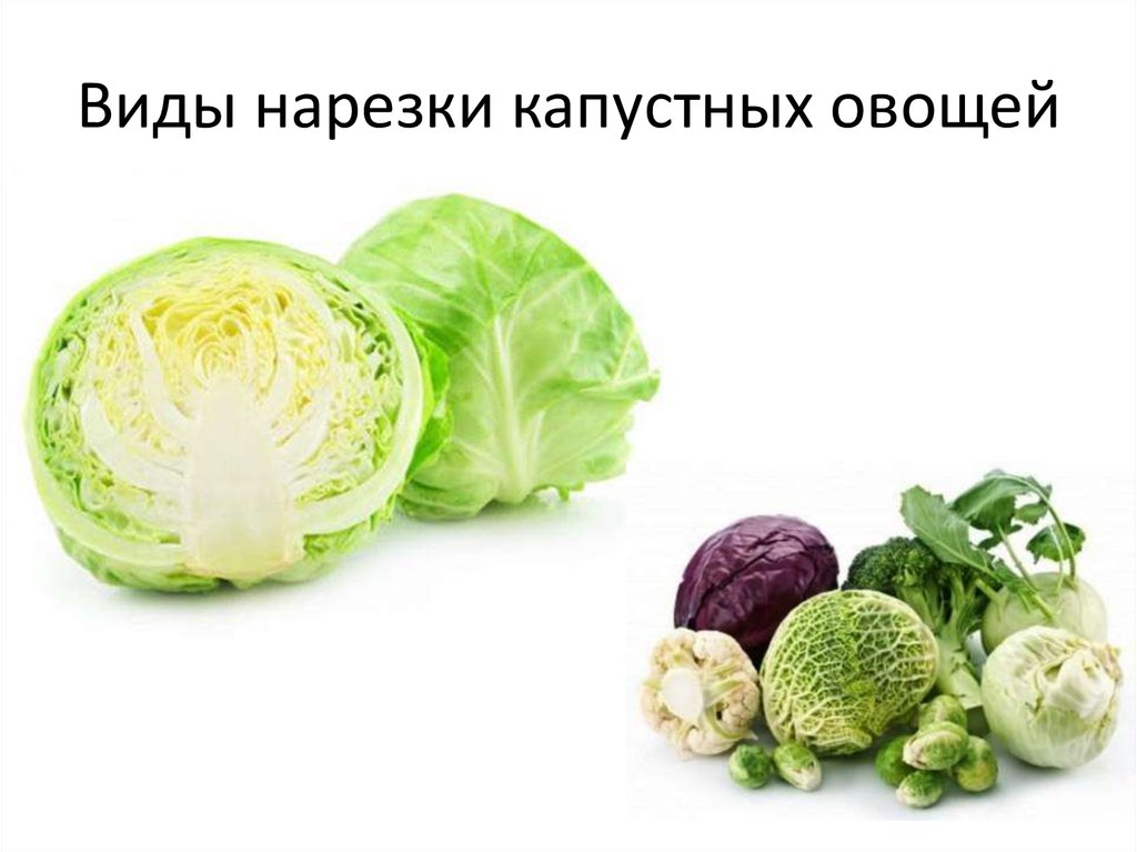 Виды нарезки капустных овощей