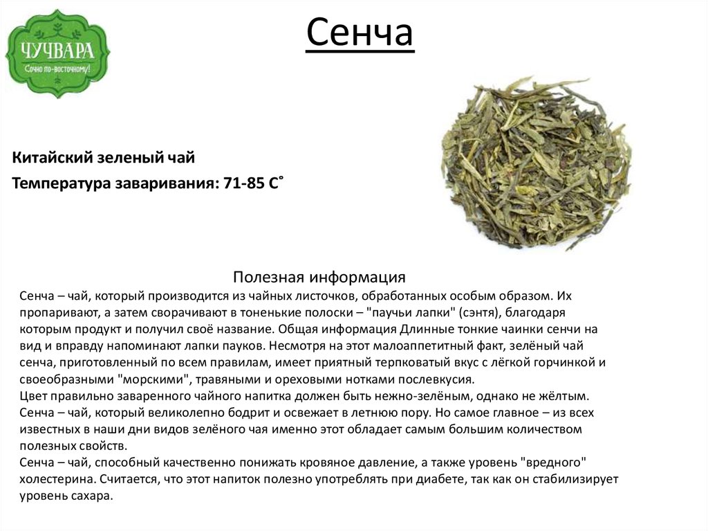 Правильная заварка. Чай зелёный Сенча описание. Правильная заварка зеленого чая. Сенча чай описание. Китайский зеленый чай "Сенча".