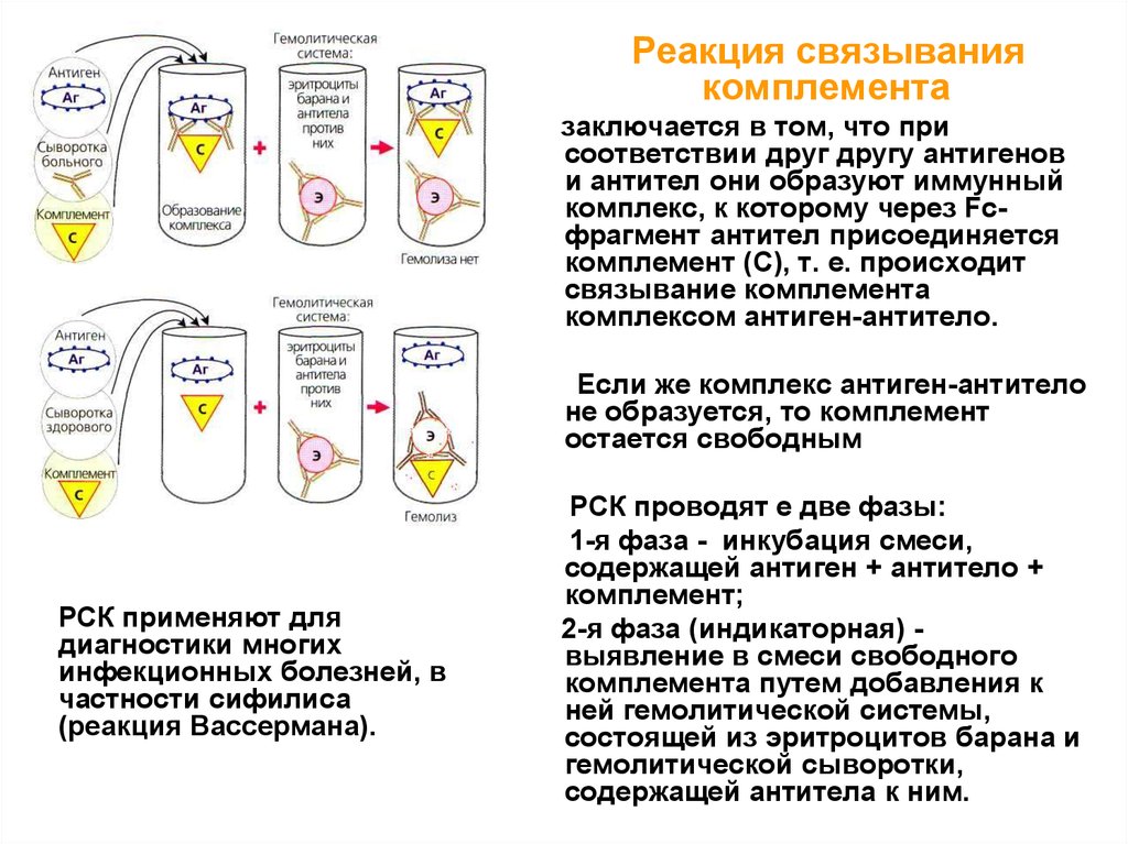 Реакция связывания комплемента микробиология. Реакция связывания комплемента РСК 1 фаза 2 фаза. Реакция связывания комплемента метод. Реакция связывания комплемента компоненты реакции.